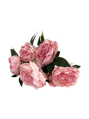 Photoroom_20250502_121656