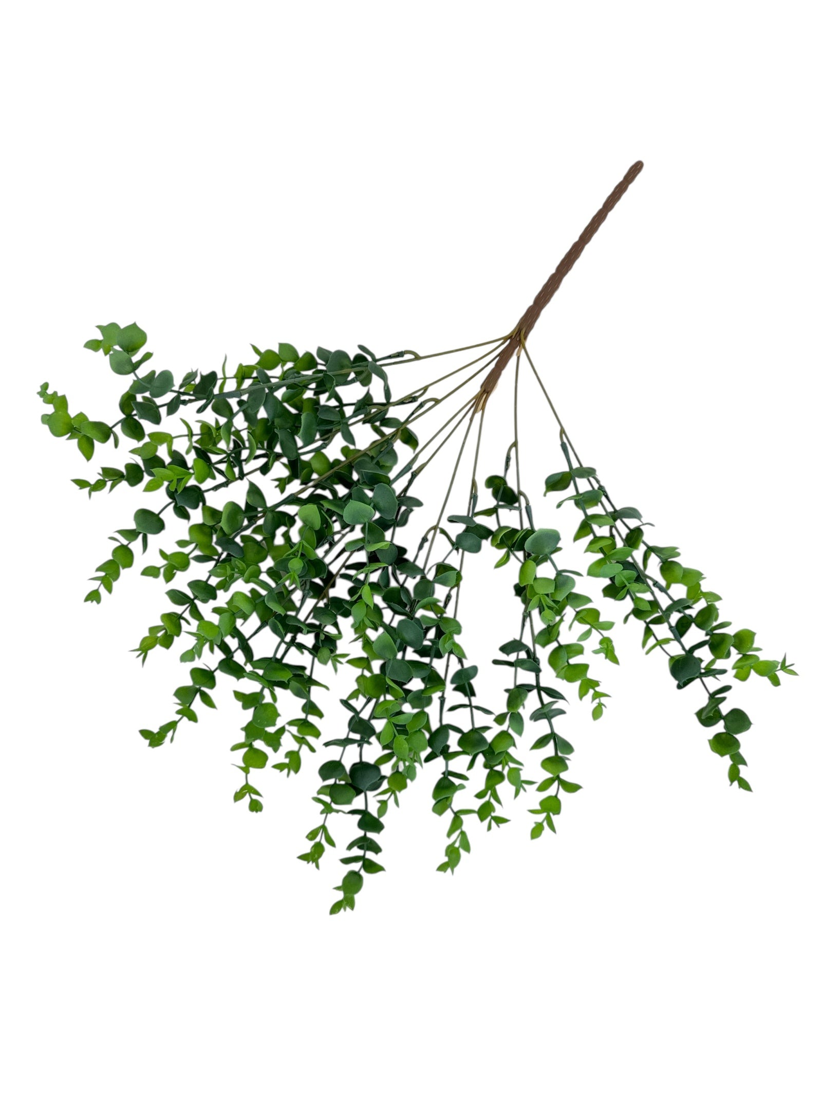 Photoroom_20250613_160811