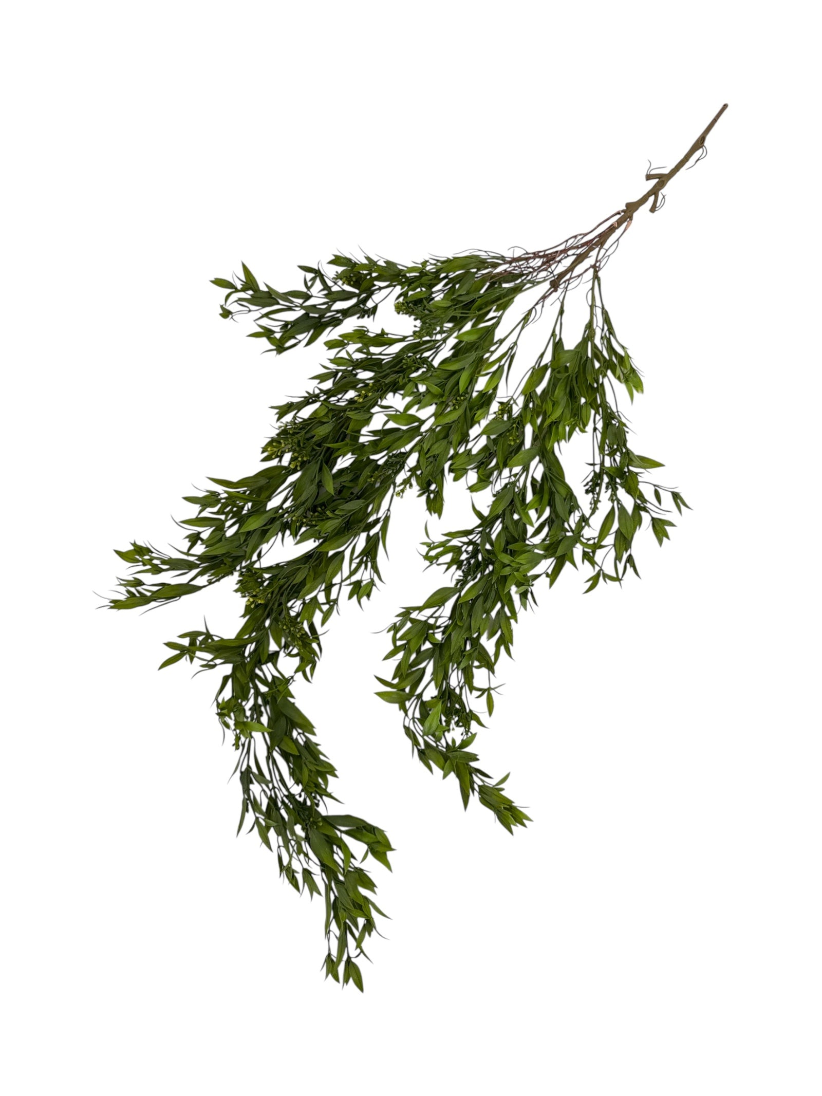 Photoroom_20250613_163100