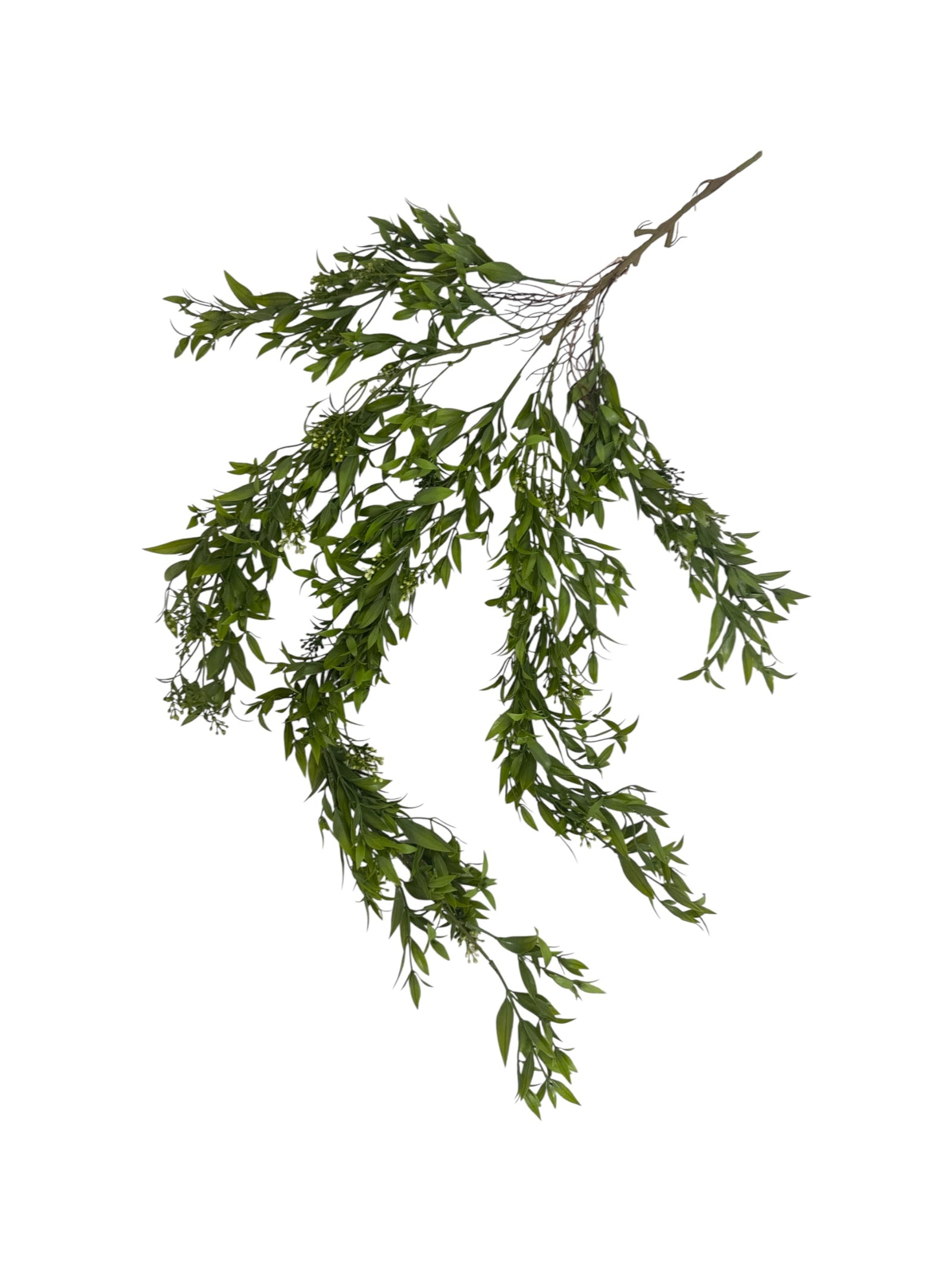 Photoroom_20250621_111353