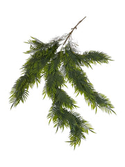 Photoroom_20250613_163605