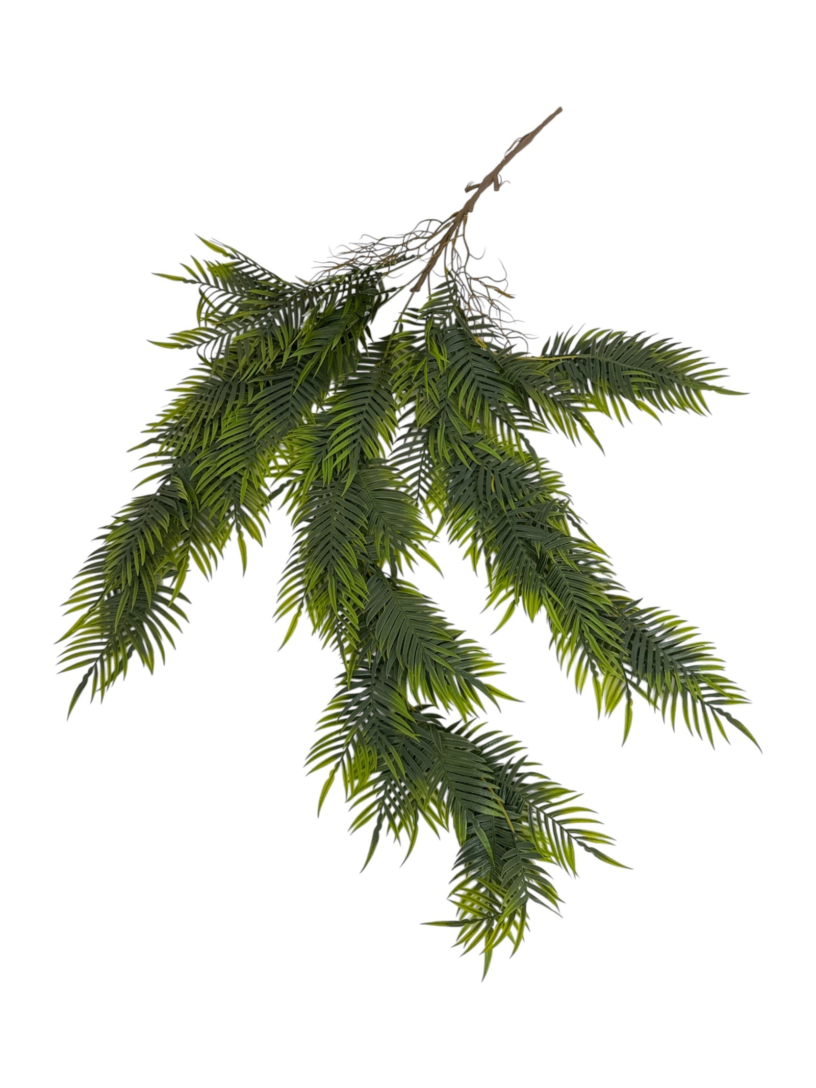 Photoroom_20250613_163605