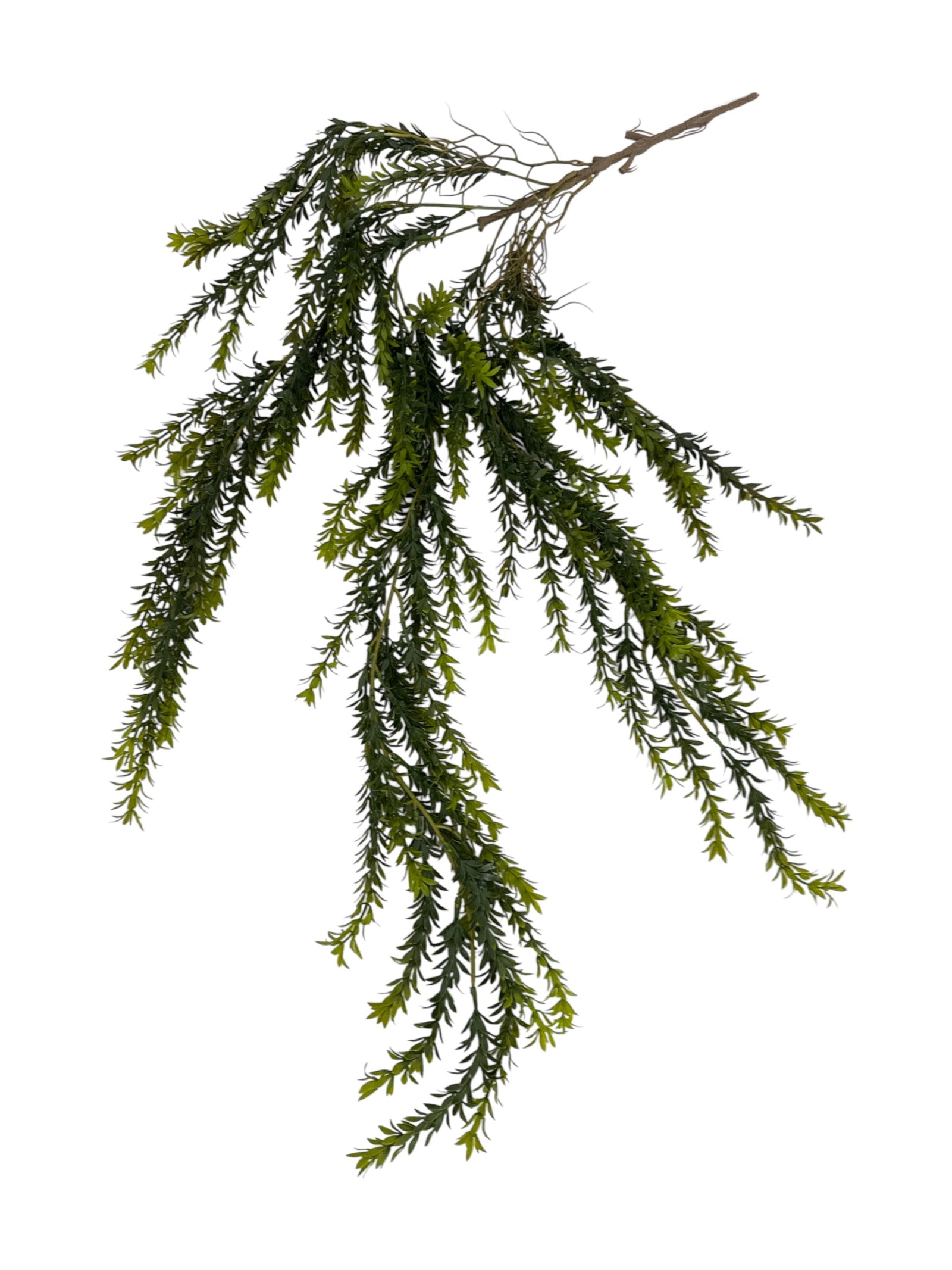 Photoroom_20250613_163434