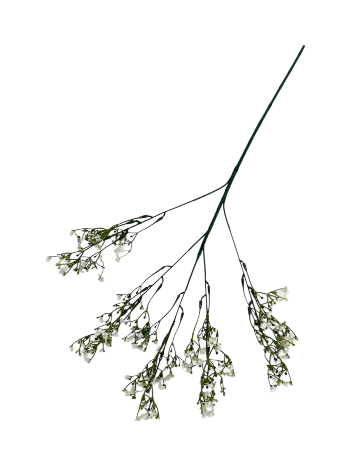 Photoroom_20250613_164121