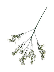 Photoroom_20250613_164121