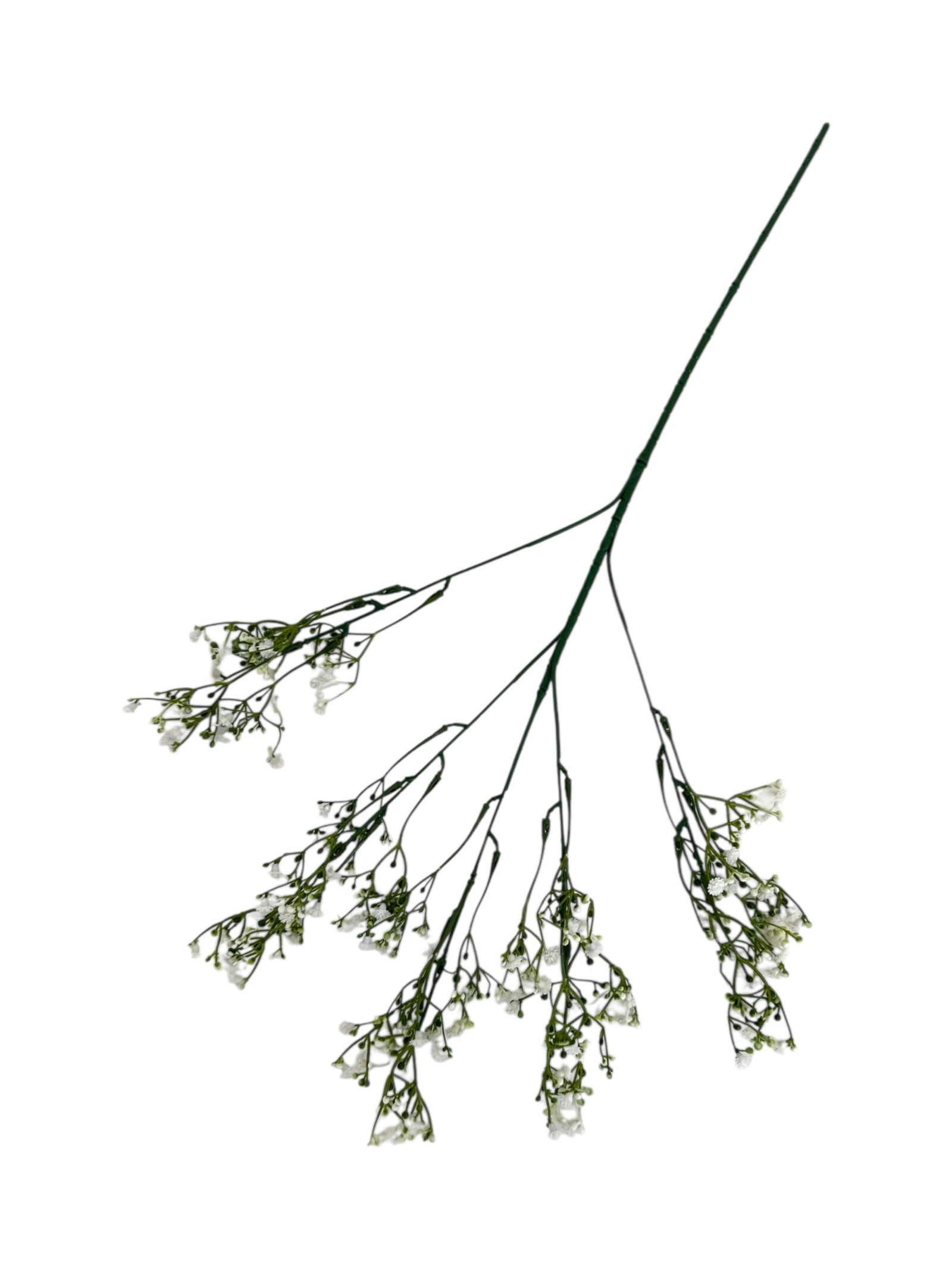 Photoroom_20250613_164121