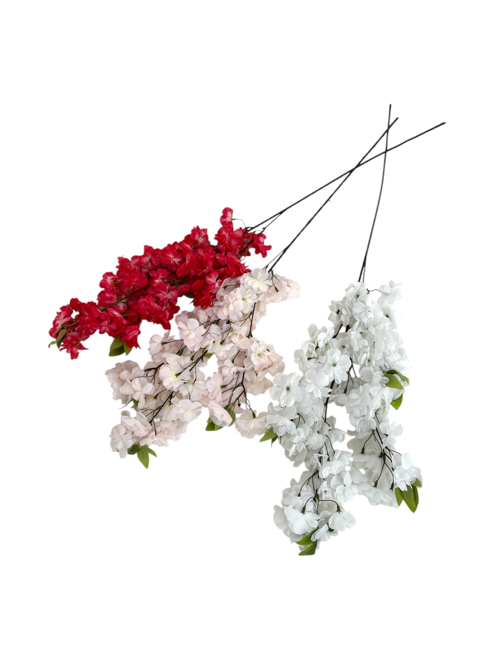 Photoroom_20250613_171149