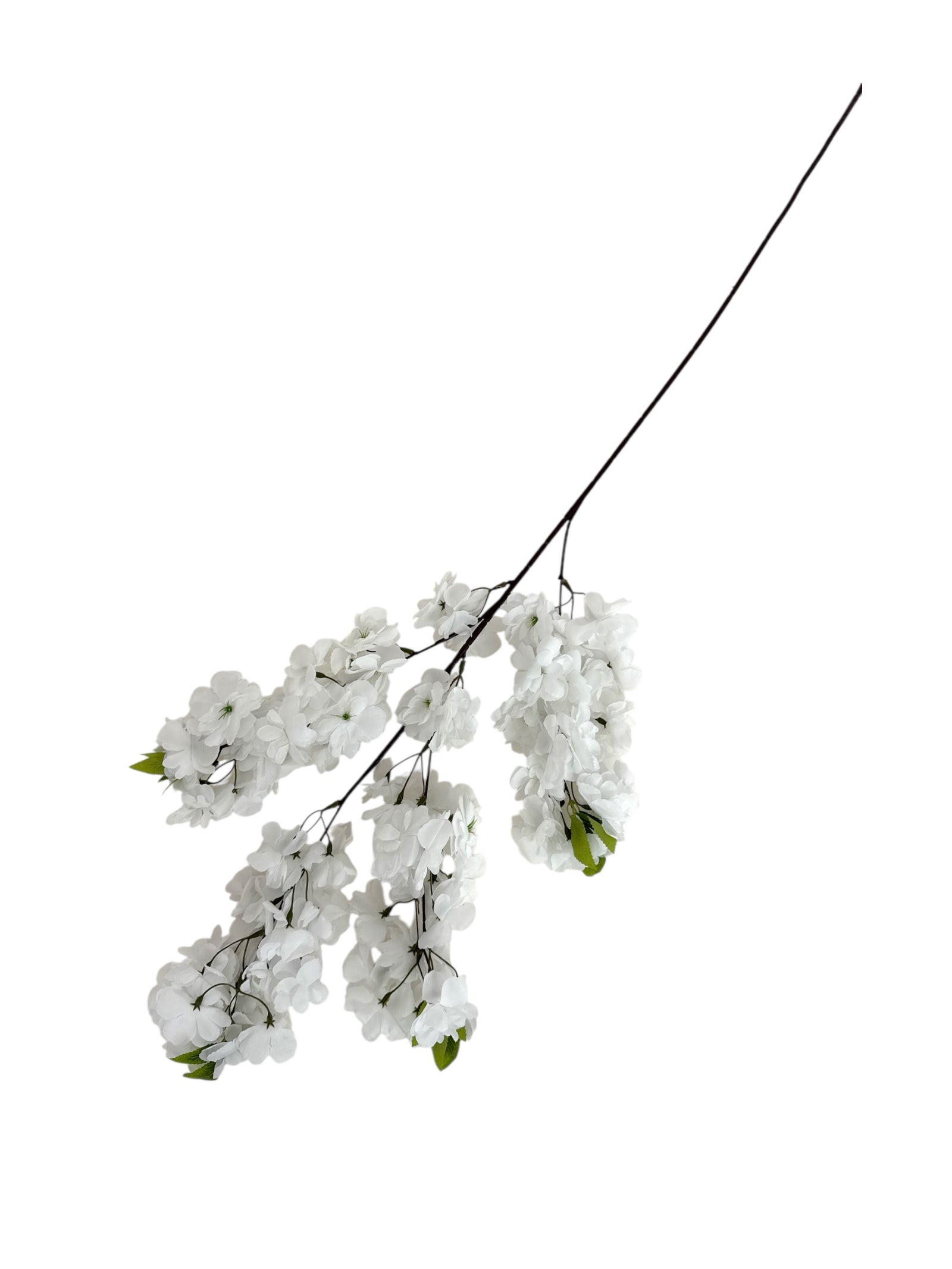 Photoroom_20250613_171243