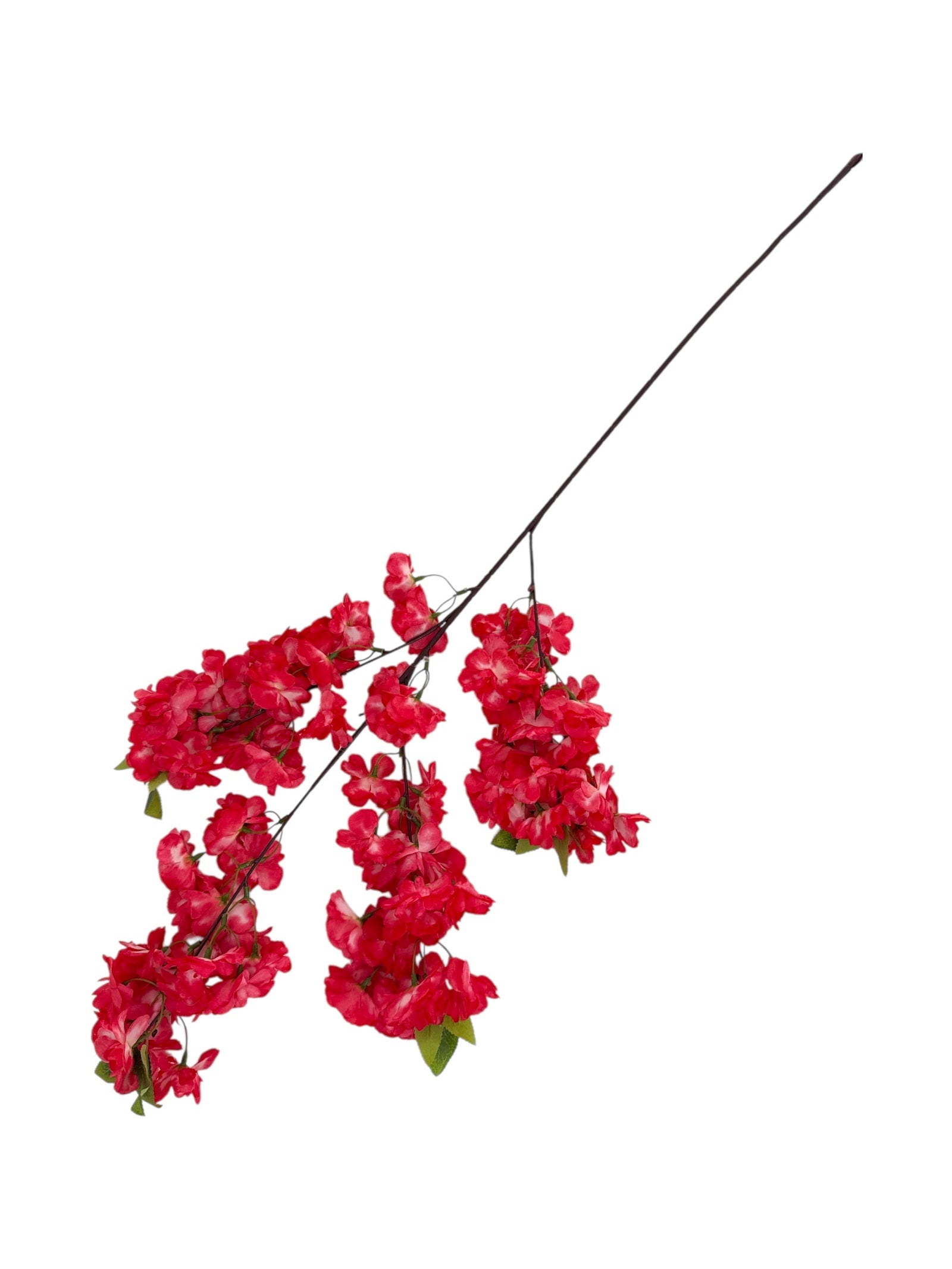 Photoroom_20250613_172517