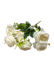 Photoroom_20250618_154435