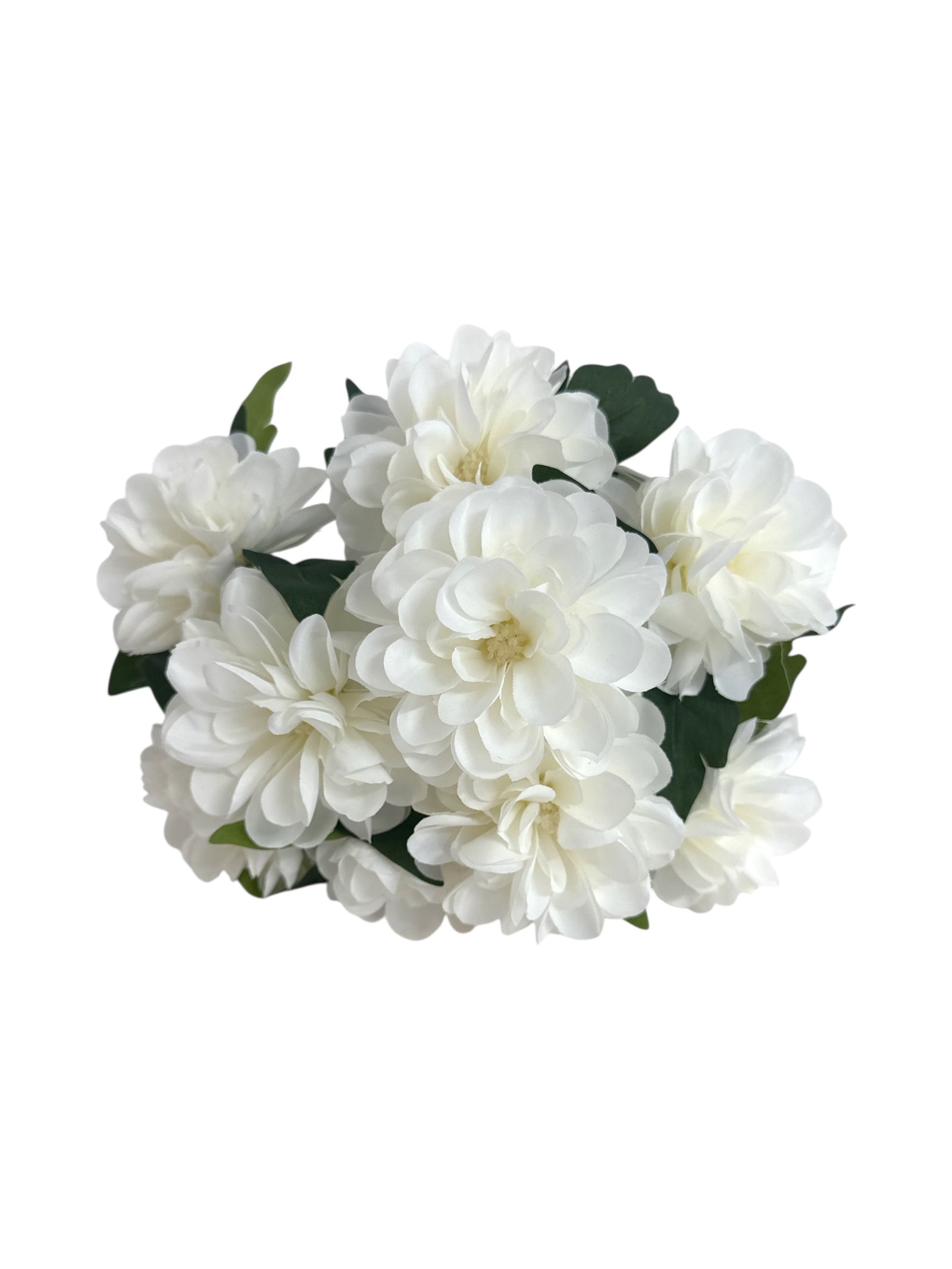 Photoroom_20250621_103214