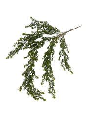 Photoroom_20250621_110605