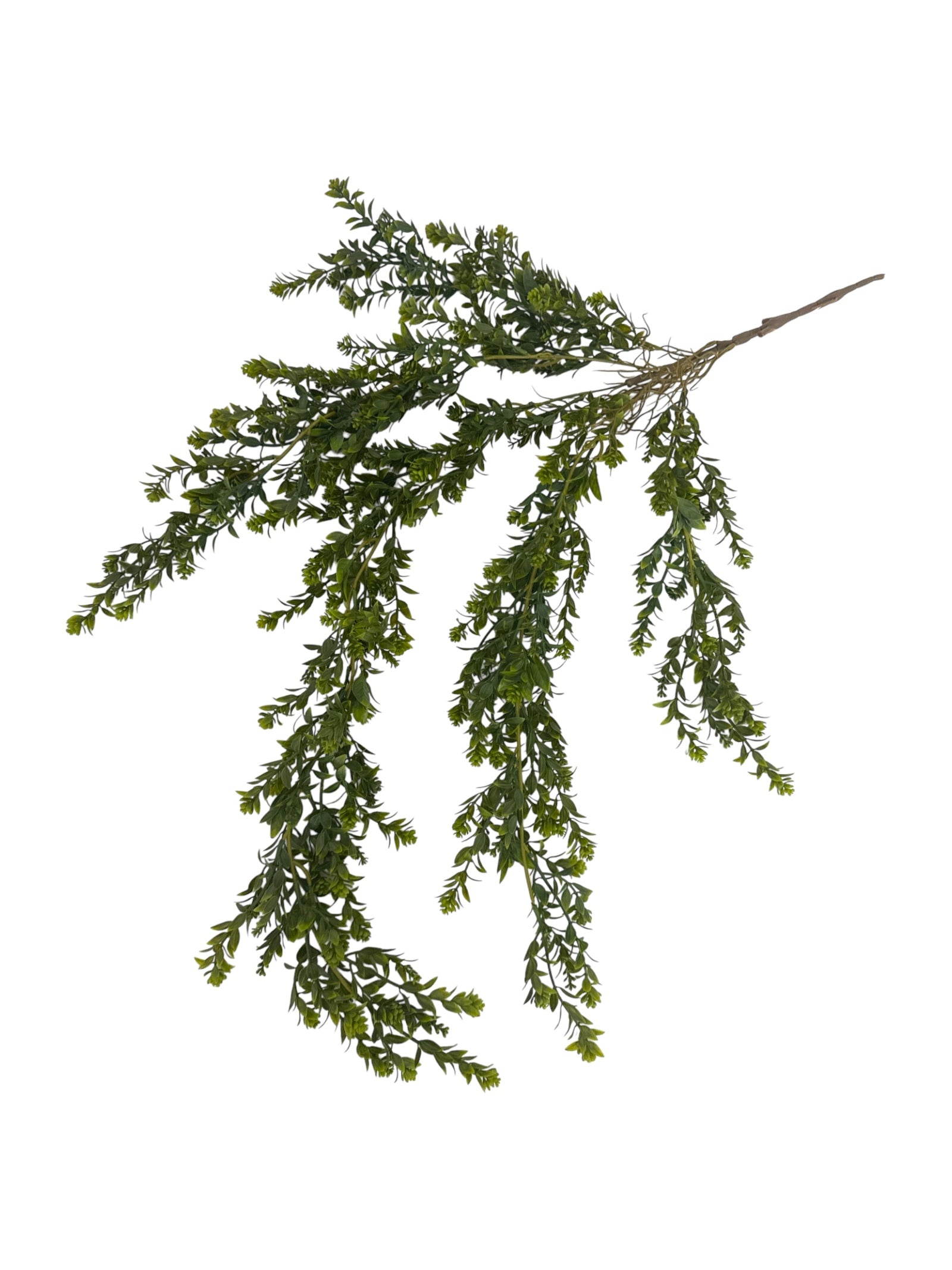 Photoroom_20250621_110605