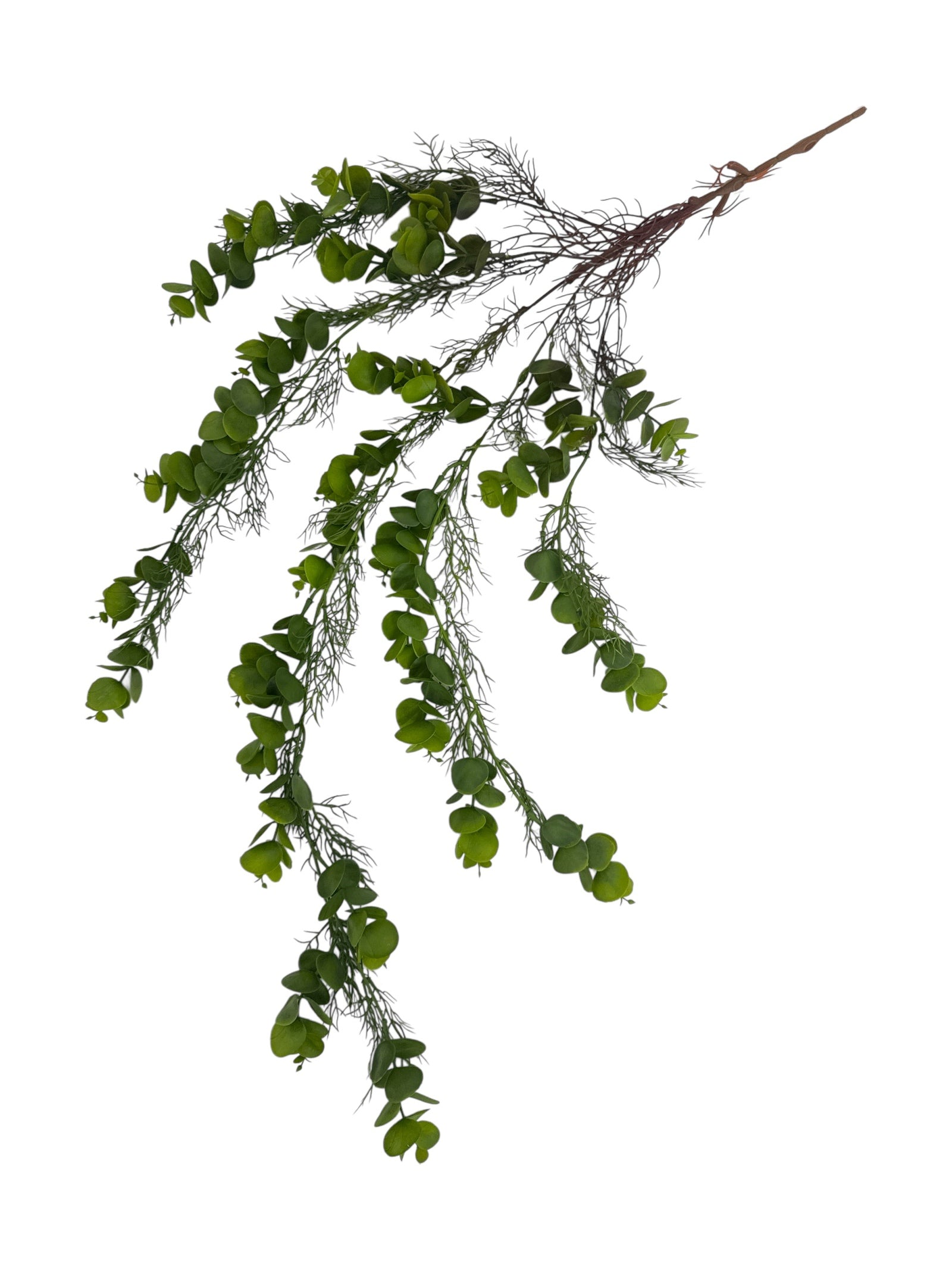 Photoroom_20250621_111103