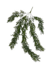 Photoroom_20250621_111910