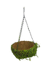 Photoroom_20250621_110220