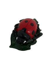 Photoroom_20250621_113334