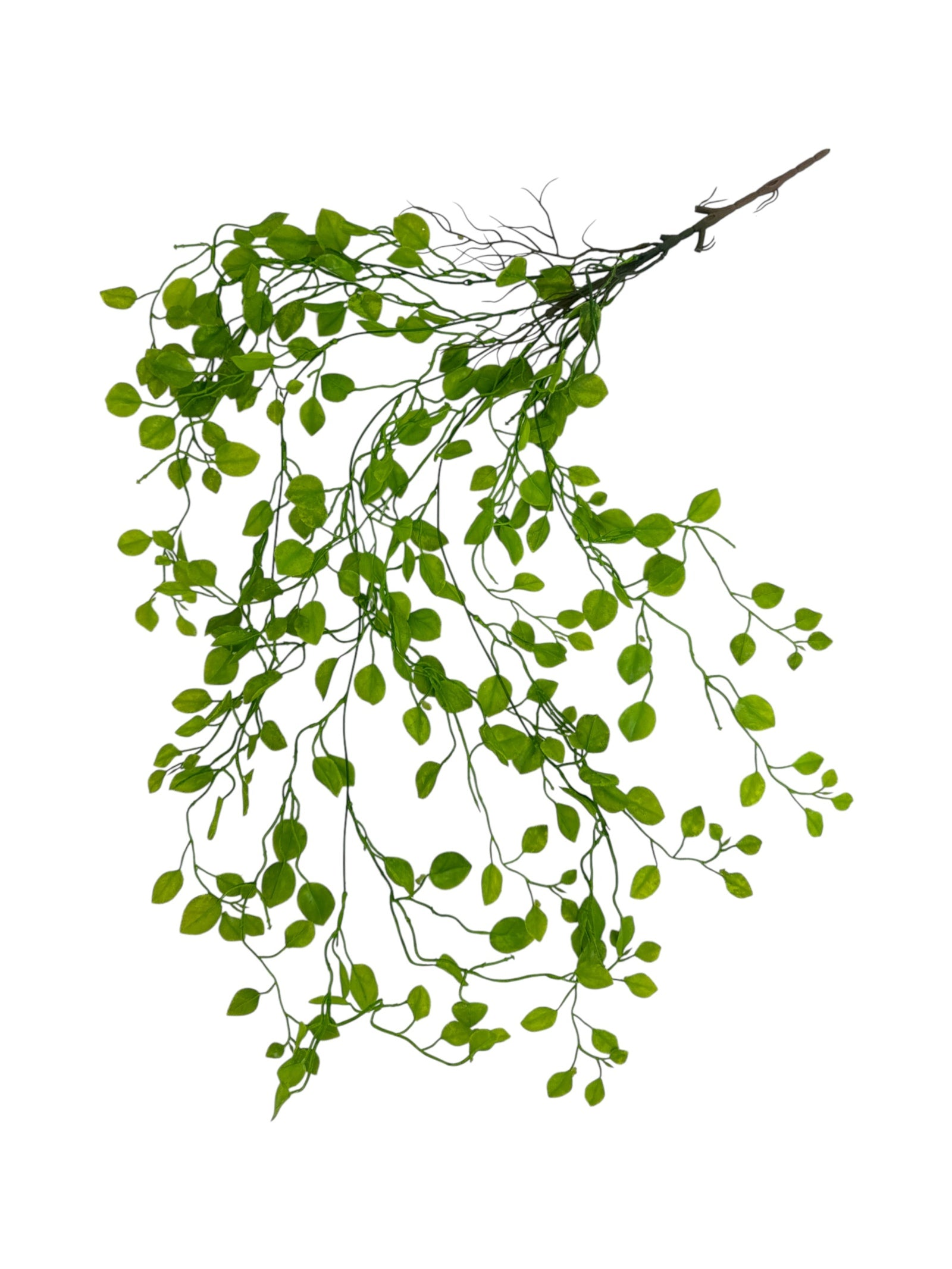 Photoroom_20250711_143108