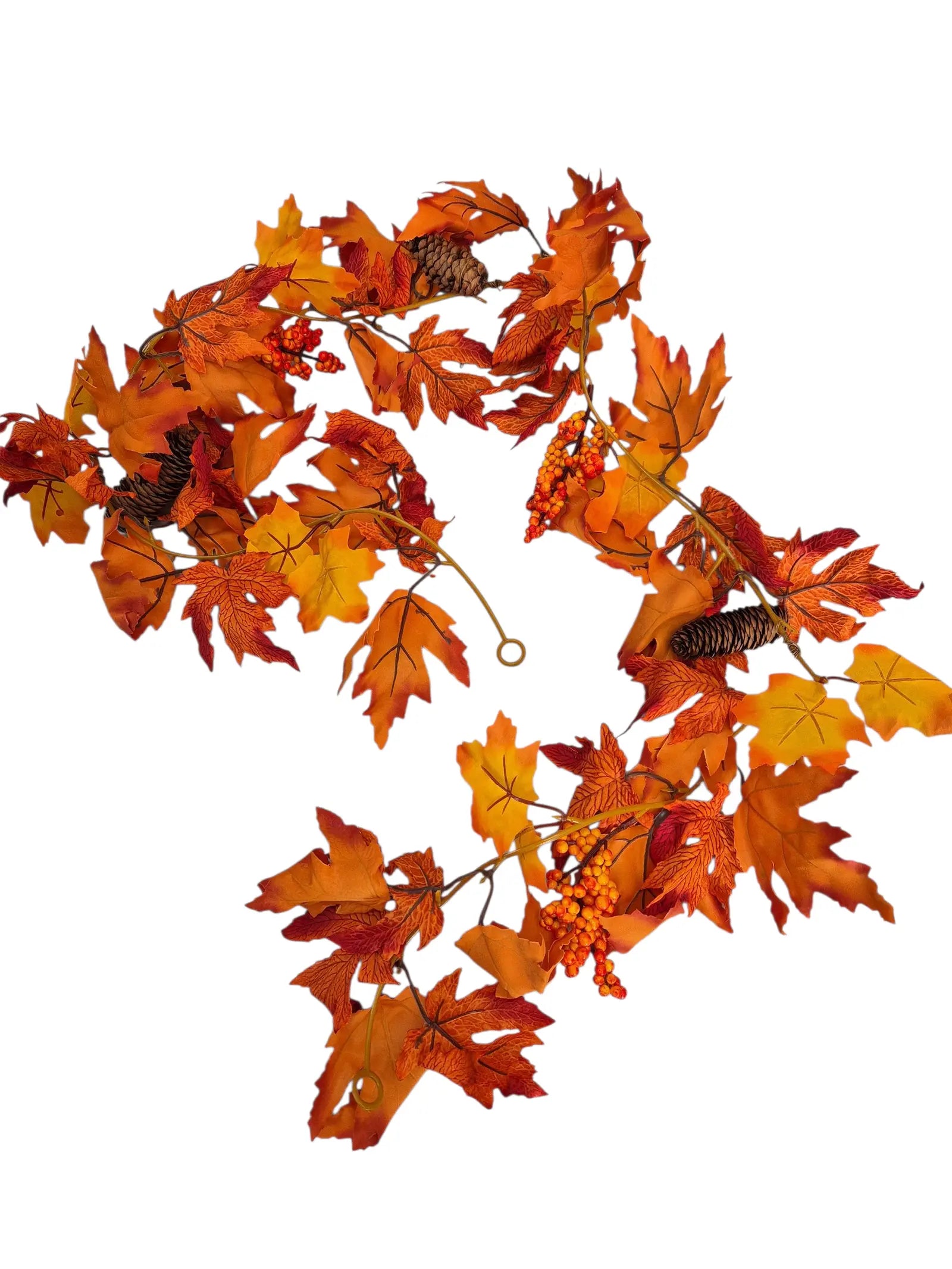 IMG_3775940170322081129