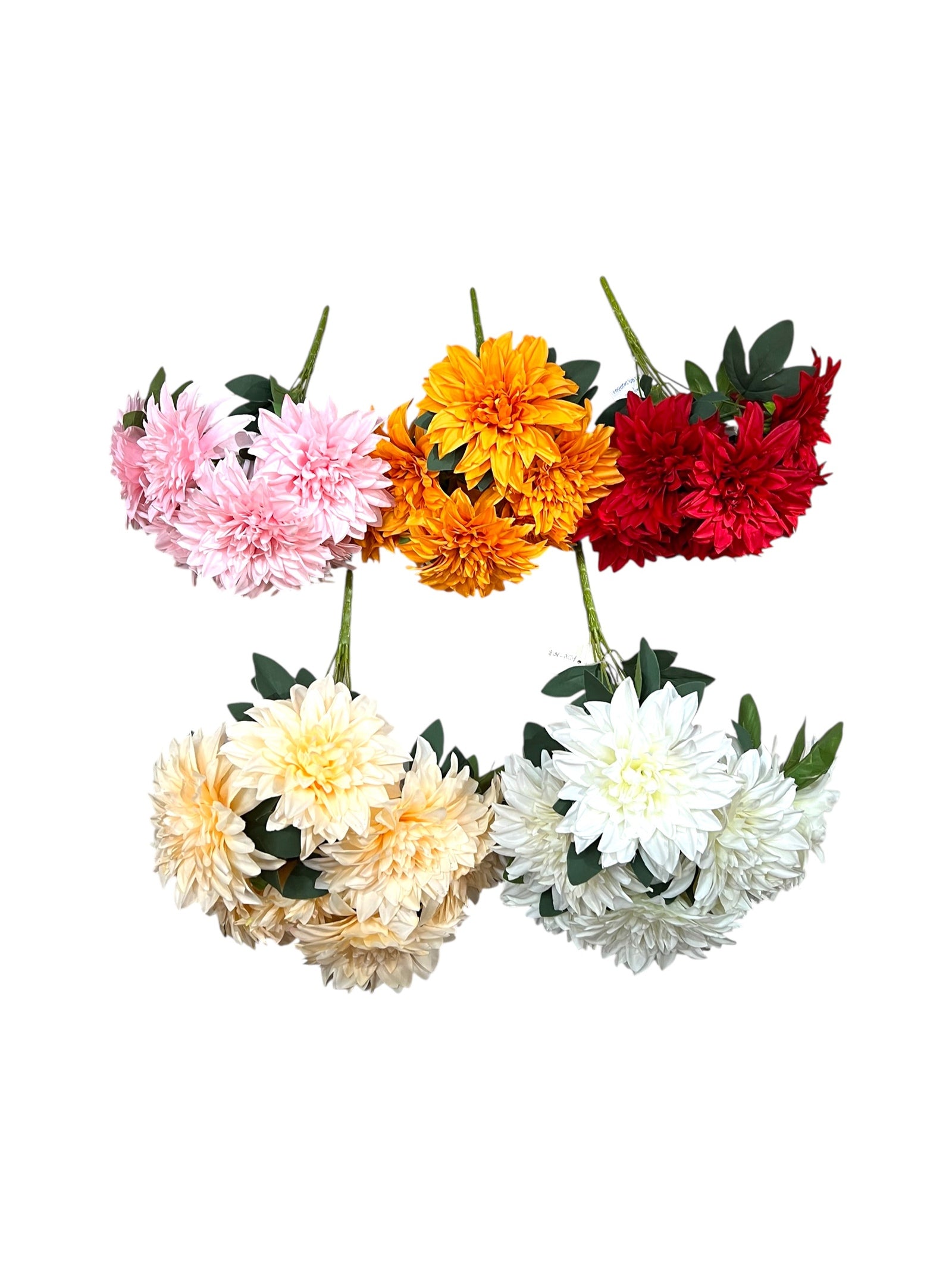 Photoroom_20250731_142835