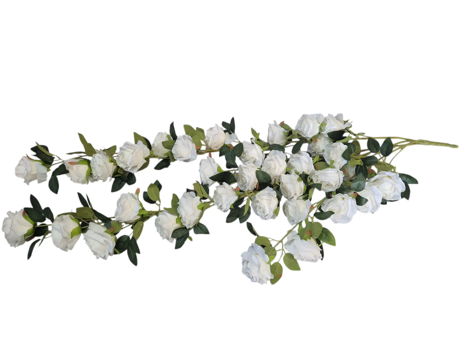 IMG_1828334491524784078