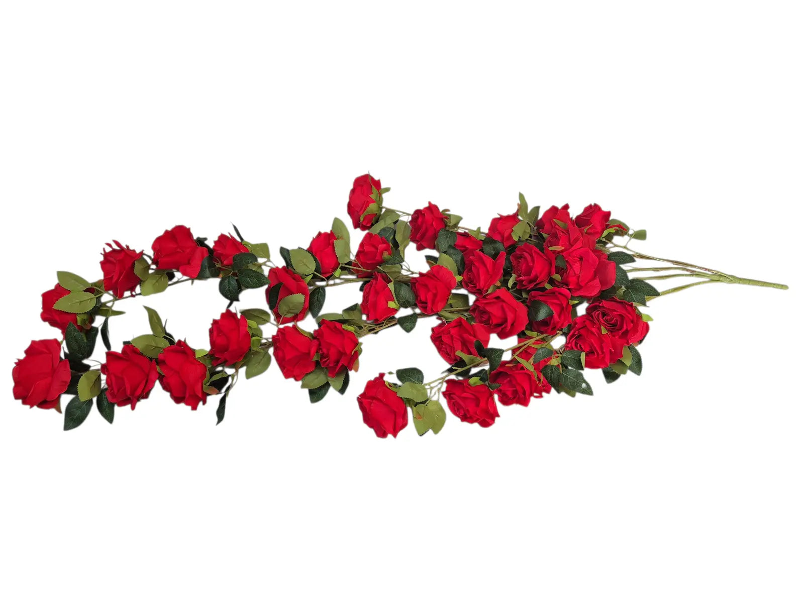 IMG_4536053678066821494