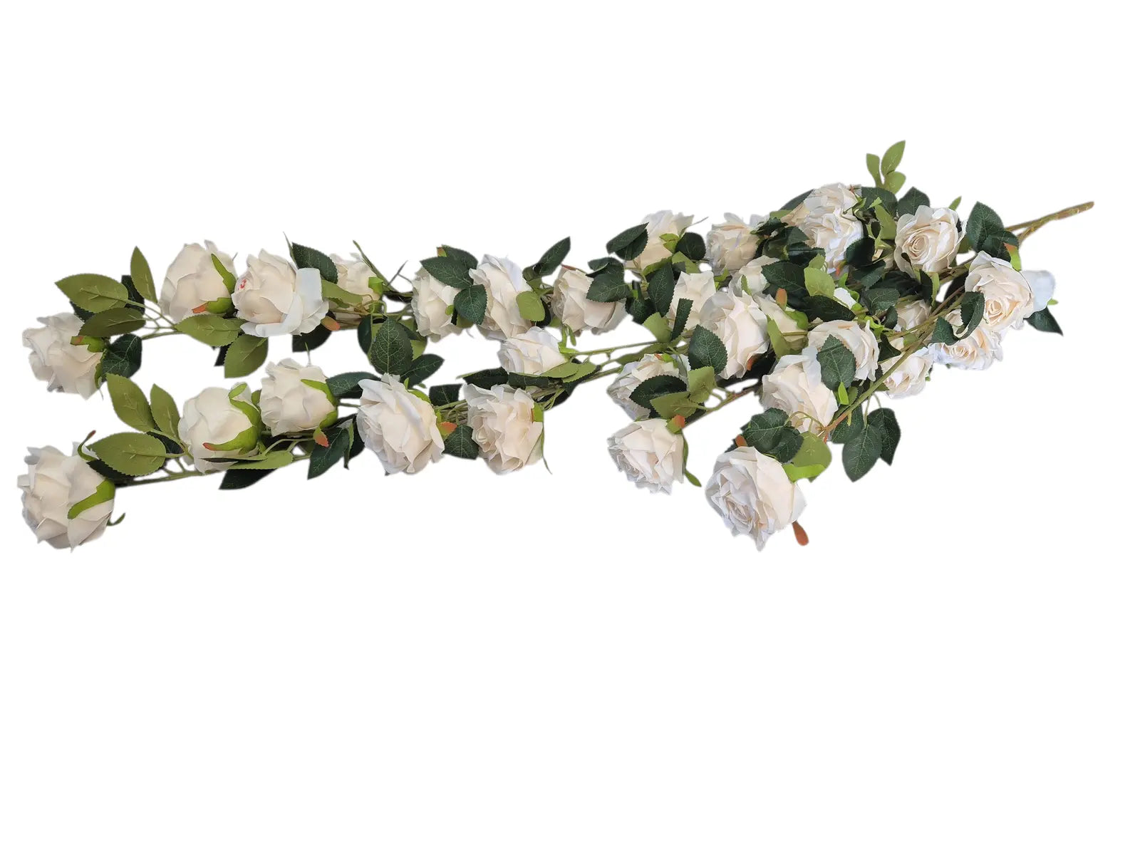 IMG_8034224196077376846