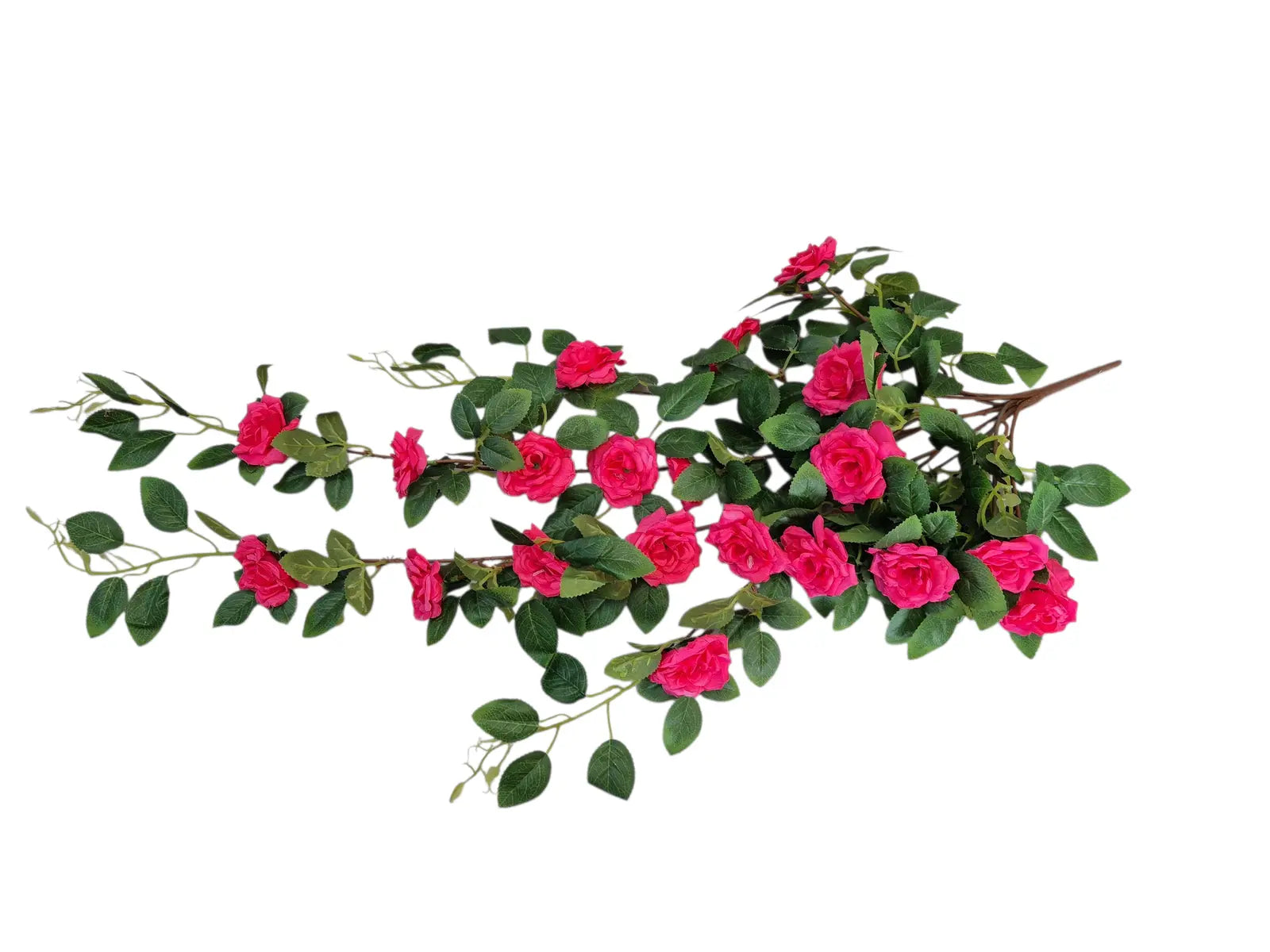 IMG_3295635243323171271