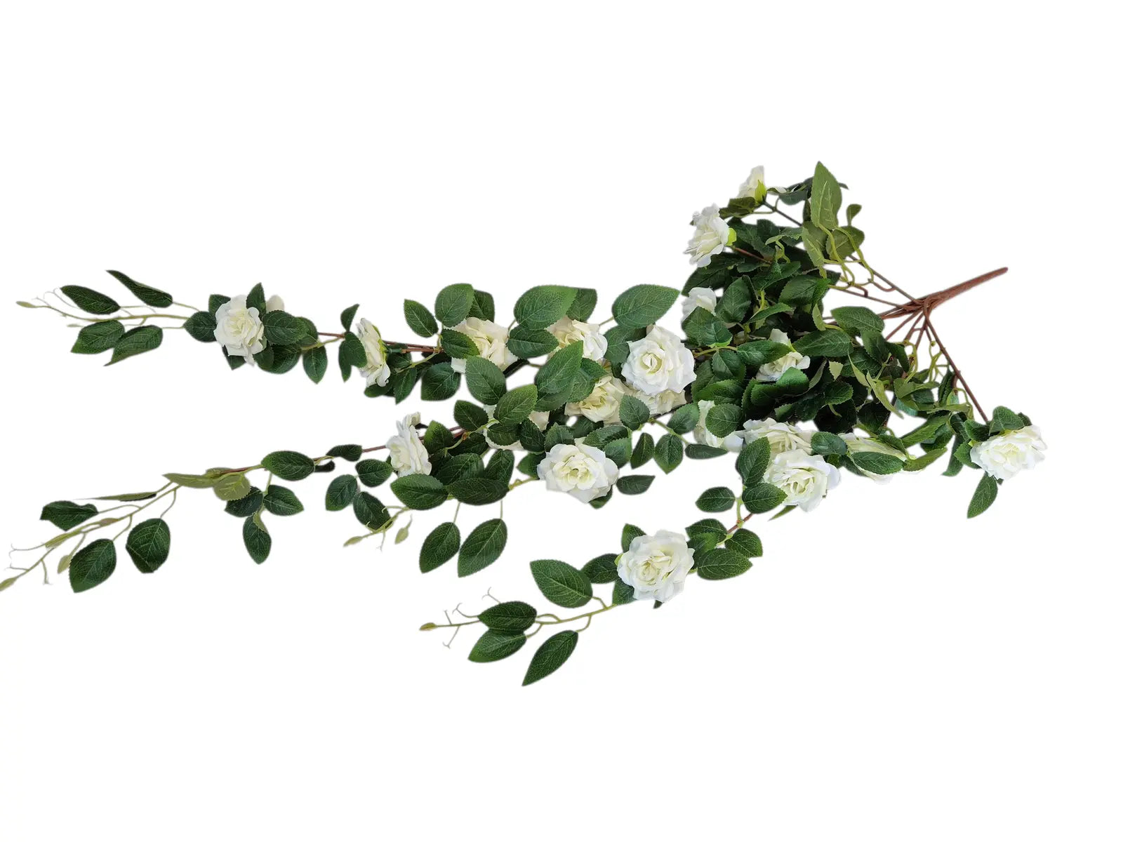 IMG_5976918531509576981