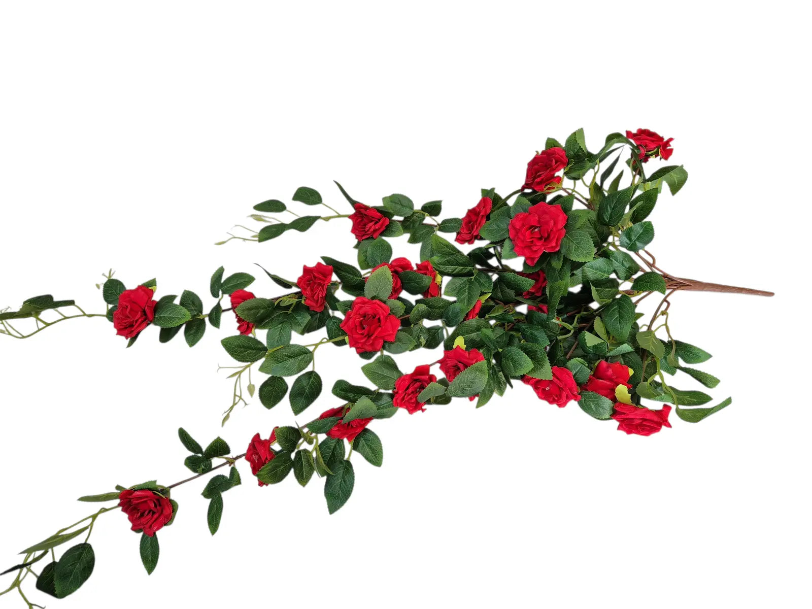 IMG_8435371270573792863