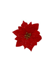 Photoroom_20251001_183005