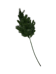 Photoroom_20251001_181207