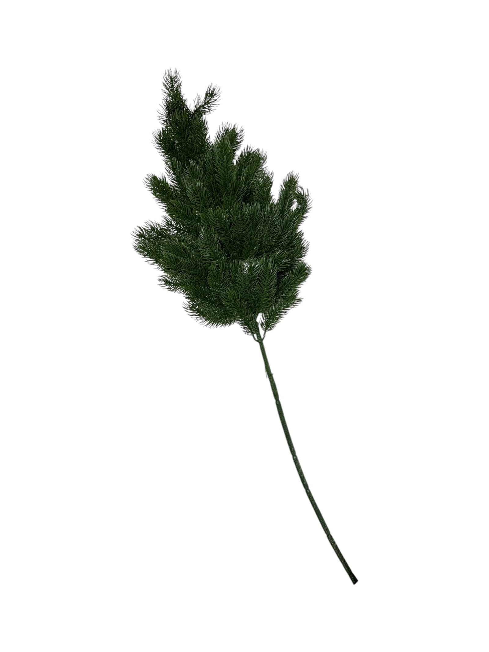 Photoroom_20251001_181207