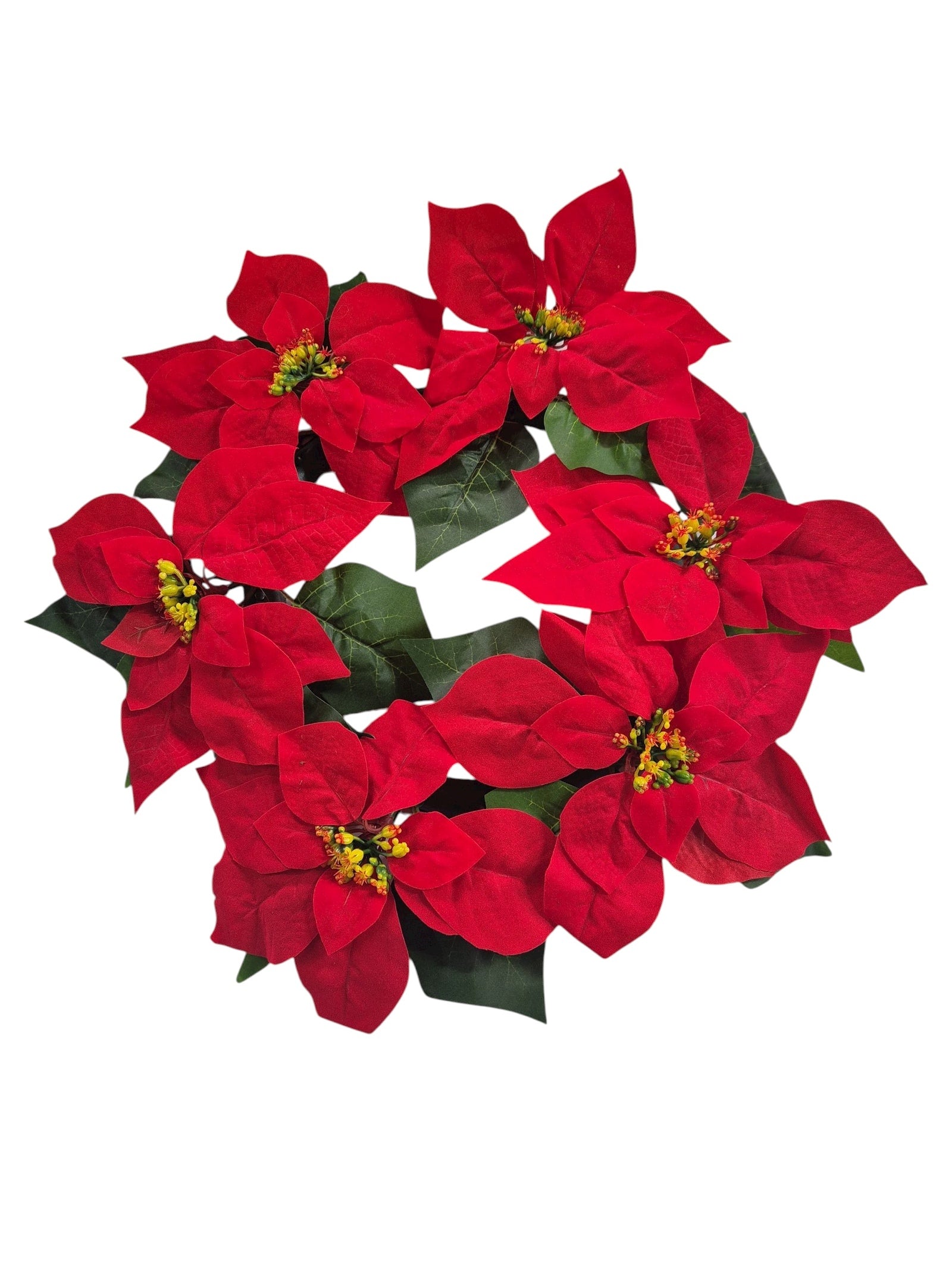 Photoroom_20251002_175627