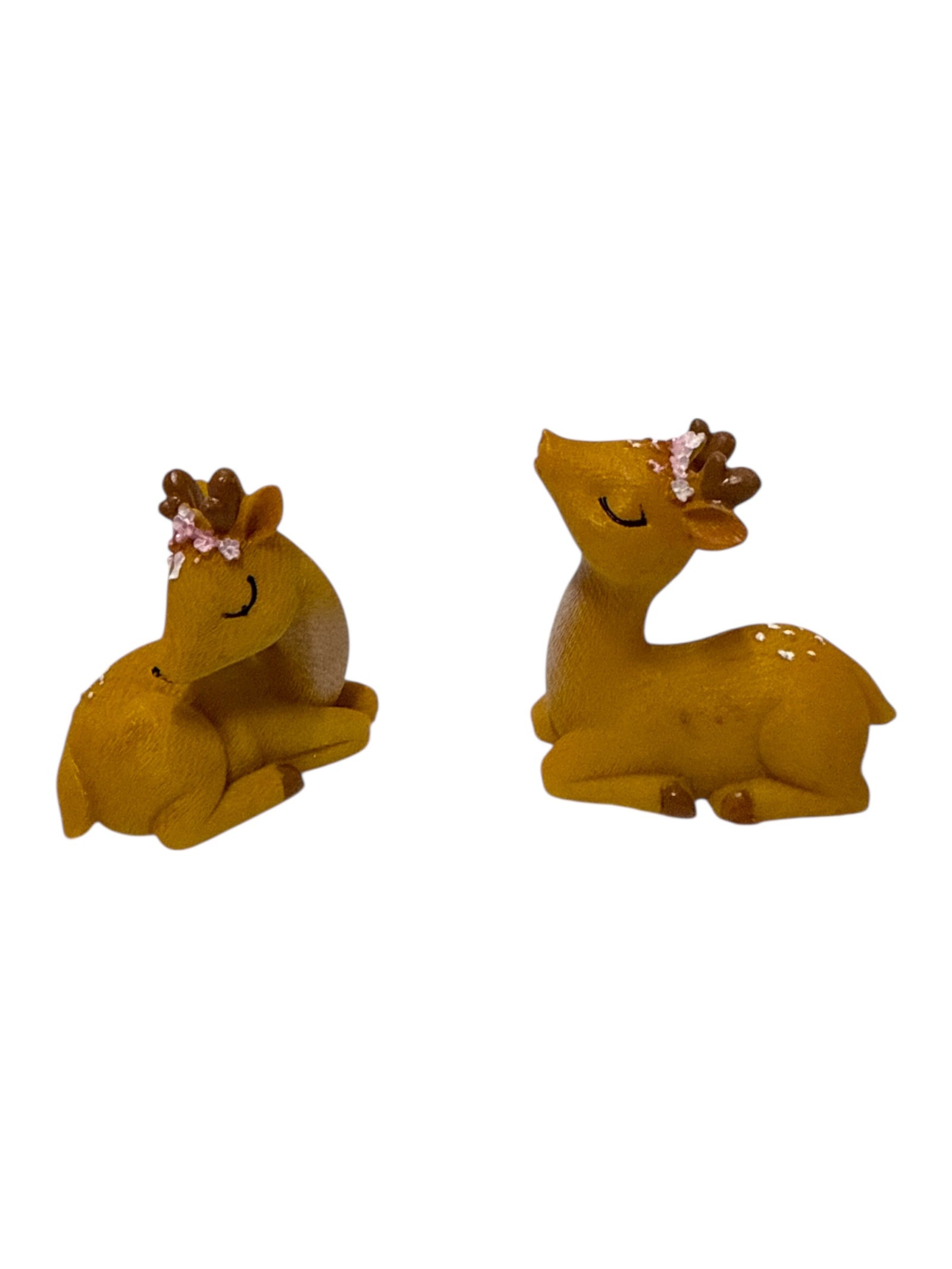 Photoroom_20251004_113828