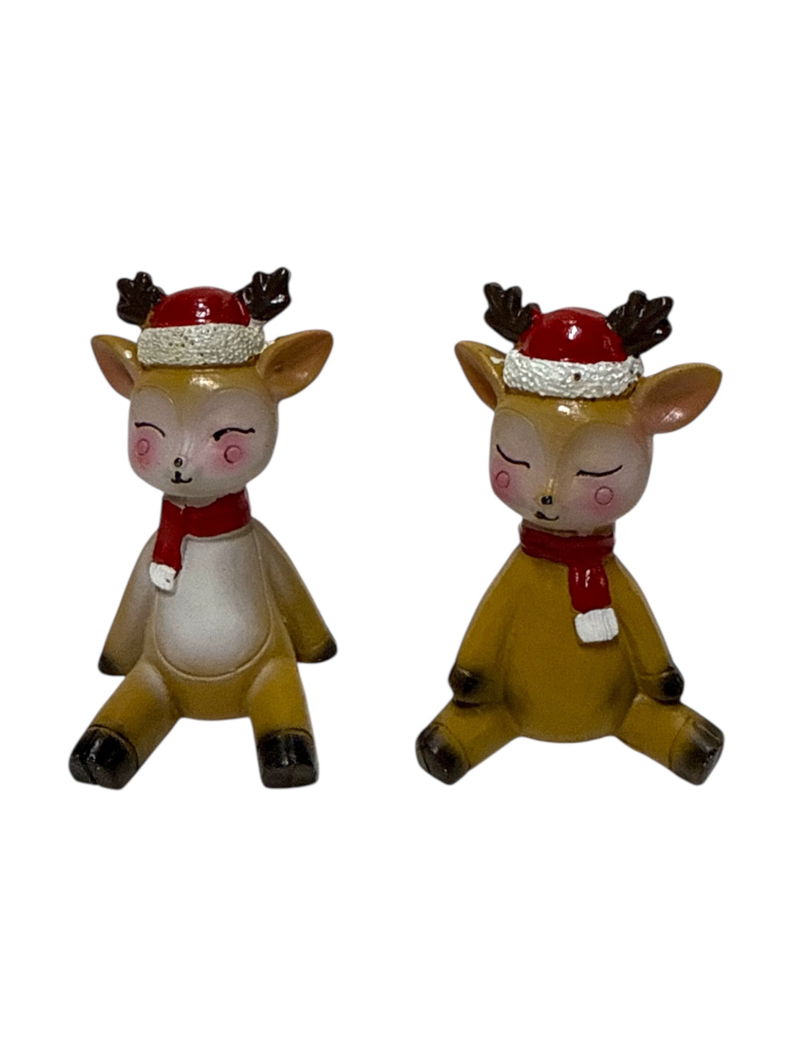 Photoroom_20251004_114018