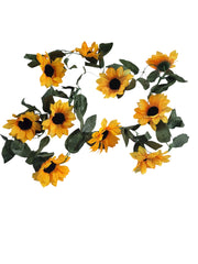 Photoroom_20251002_175654