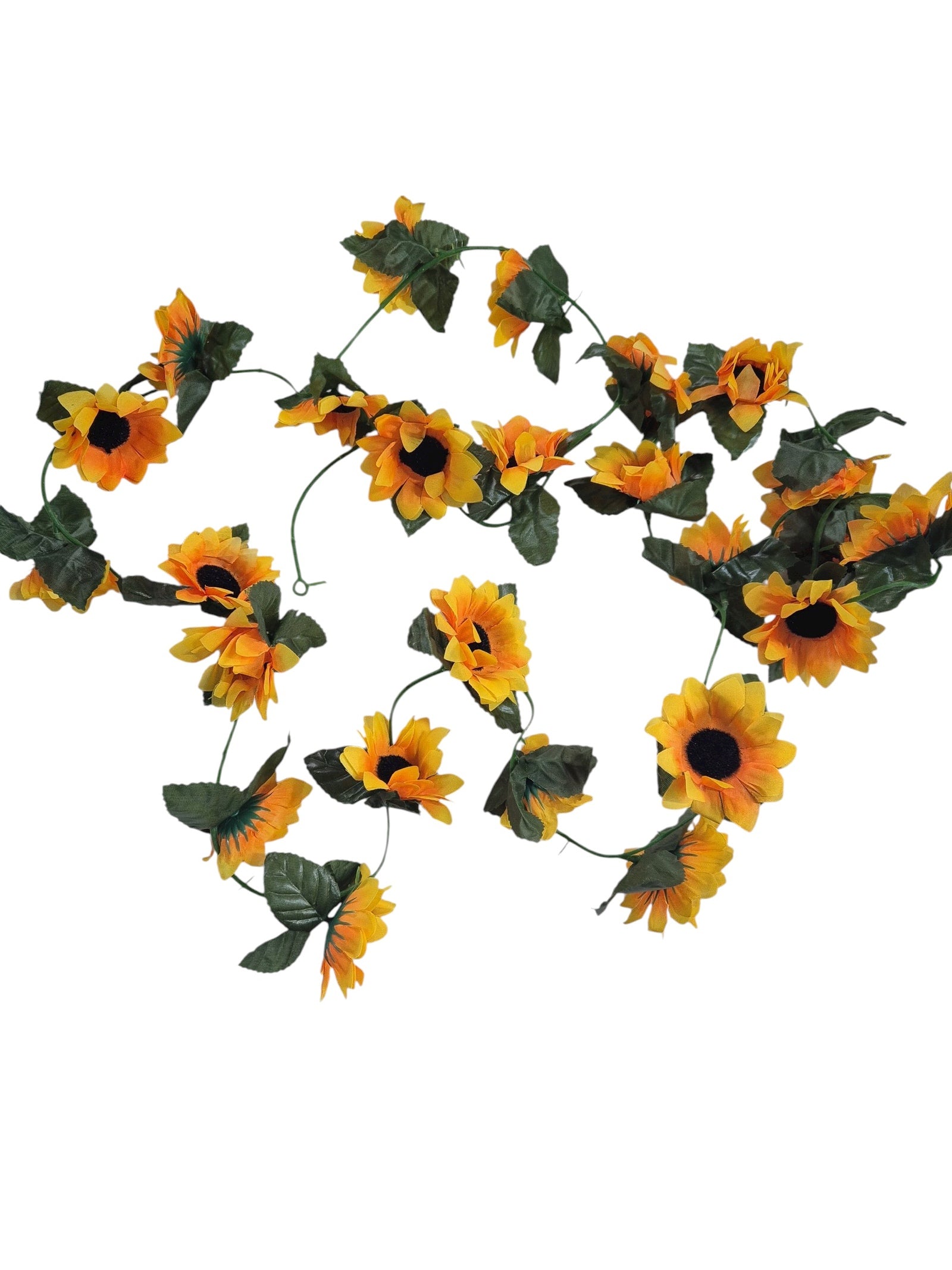 Photoroom_20251002_175700