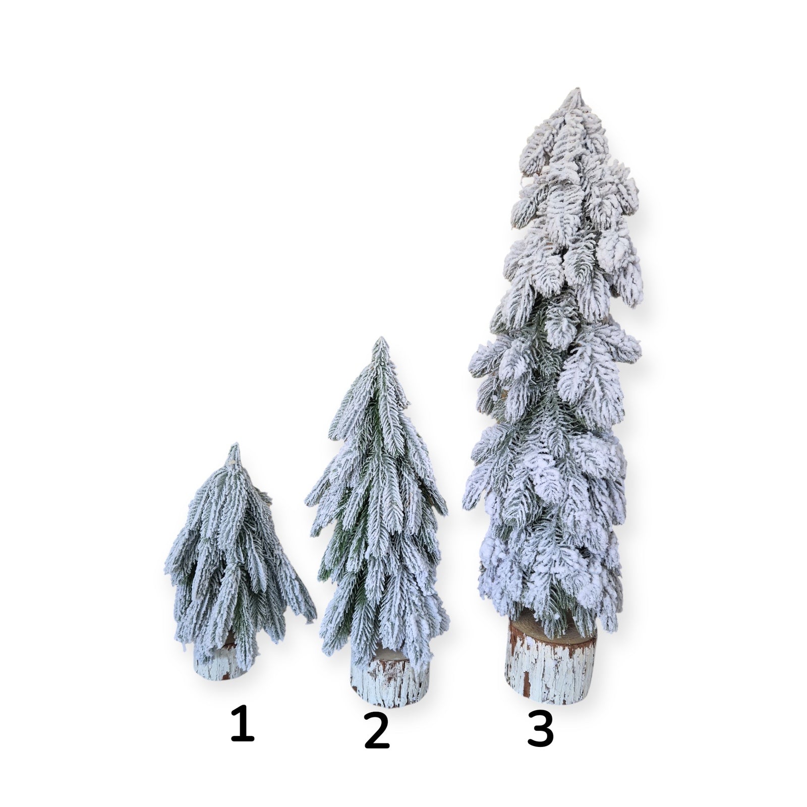 Photoroom_20251014_094334