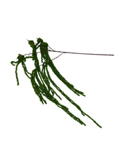 Flori Artificiale Din Textil Pufos Curgator Amaranthus