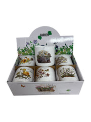 Ghiveci Din Ceramica 6/Set Model 007