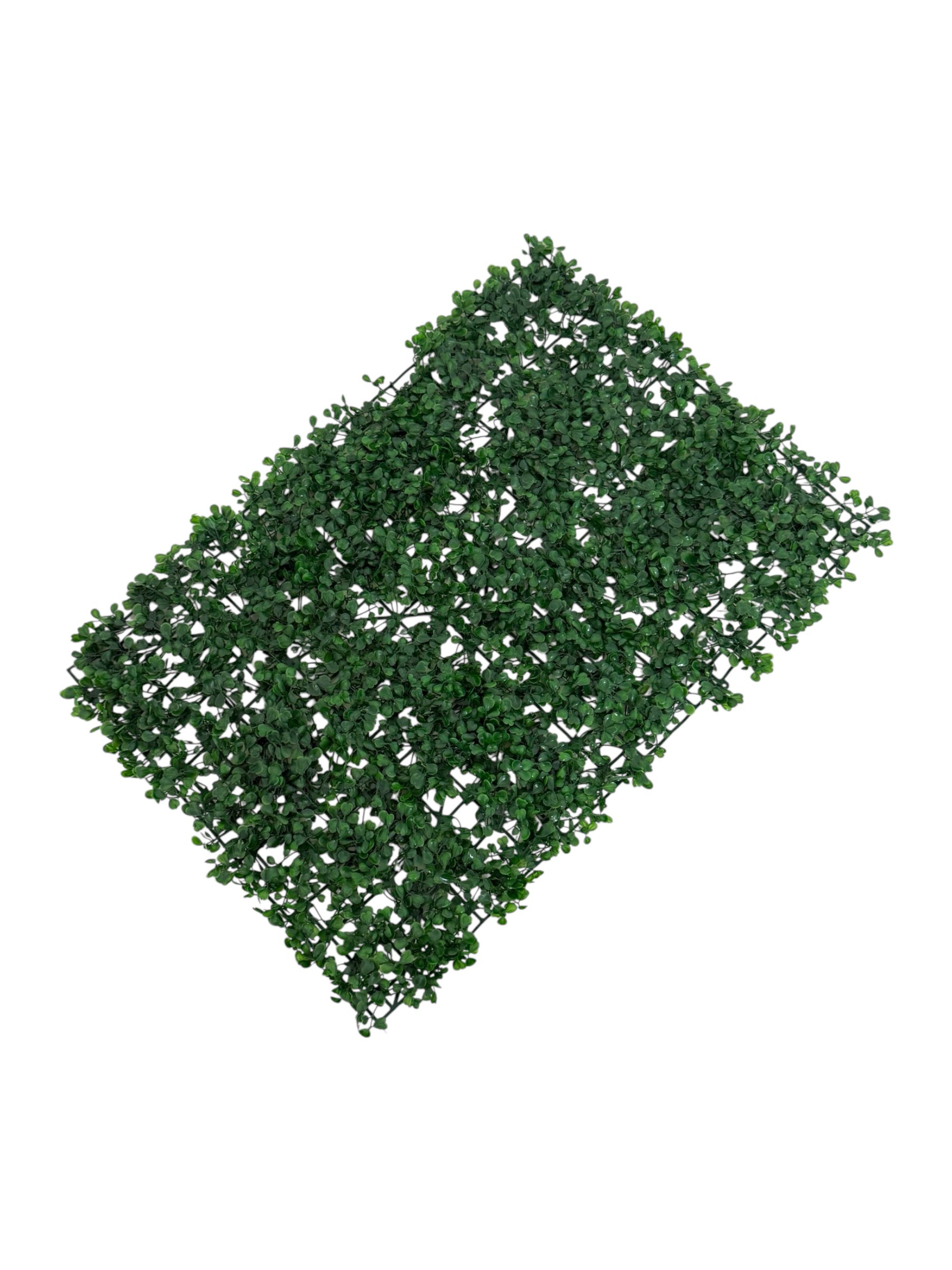 Panou Frunze Buxus