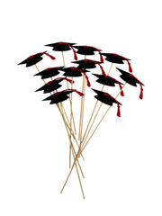 Ornamente Din Fetru Toca Absolvent Cu Bat 12/Set