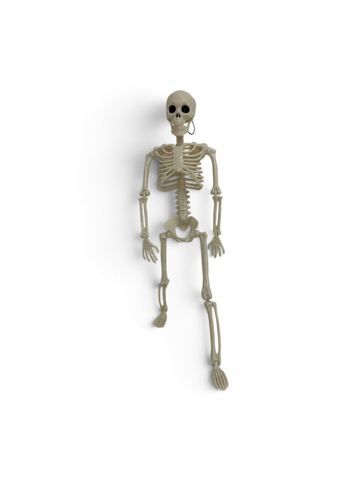 Schelet Decorativ Halloween