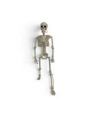 Schelet Decorativ Halloween