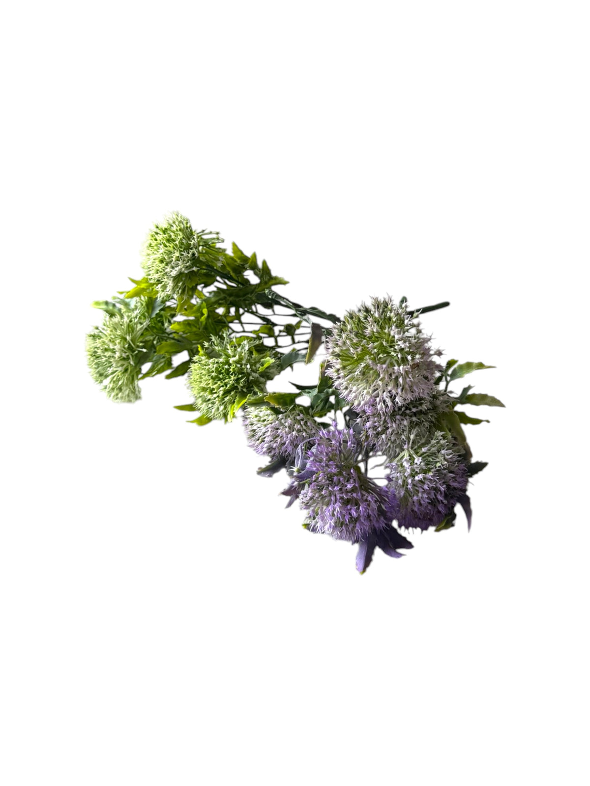 Flori Artificiale Ciulini Cu Frunze Late
