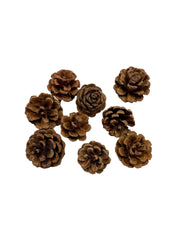 Conuri de Brad Naturale 5–6 cm pentru Decorațiuni de Crăciun